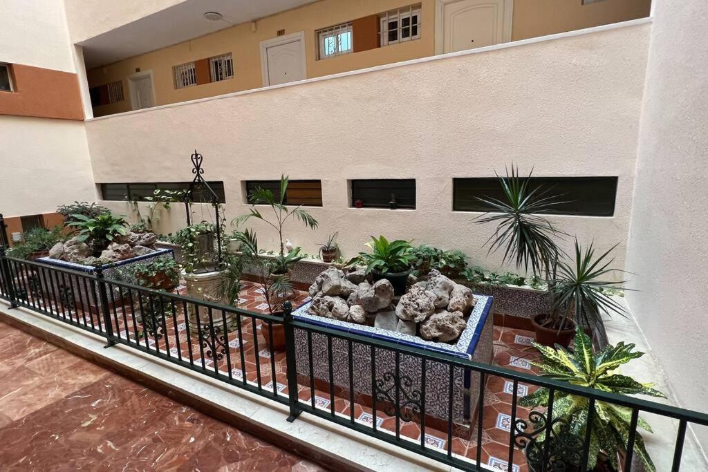 Estudio Aguila Con Vistas Al Mar Apartment *