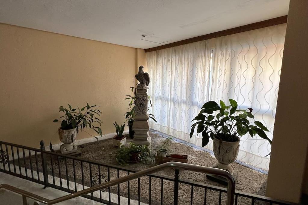 Apartment Estudio Aguila Con Vistas Al Mar *